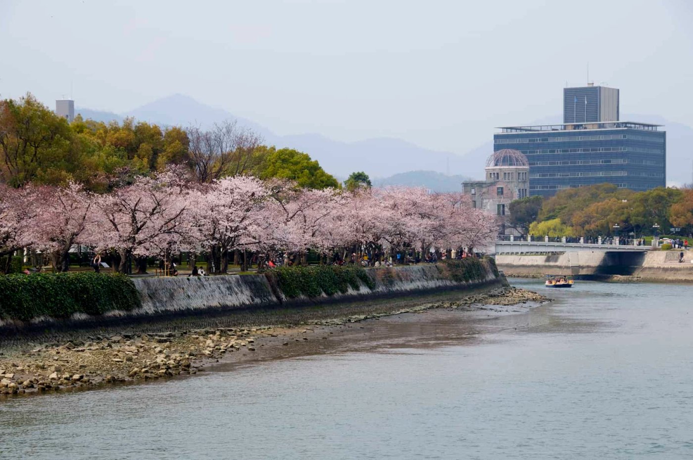 Hiroshima’s Cherry Blossom Season