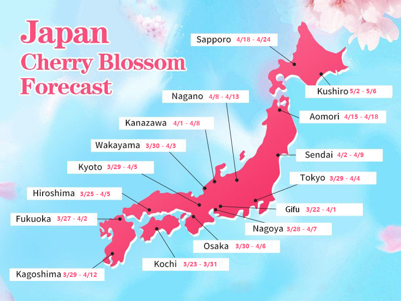 Map of Japan showing example cherry blossom date ranges for Sapporo, Kushiro, Aomori, Sendai, Tokyo, Nagano, Kanazawa, Gifu, Nagoya, Kyoto, Osaka, Wakayama, Hiroshima, Kochi, Fukuoka, and Kagoshima